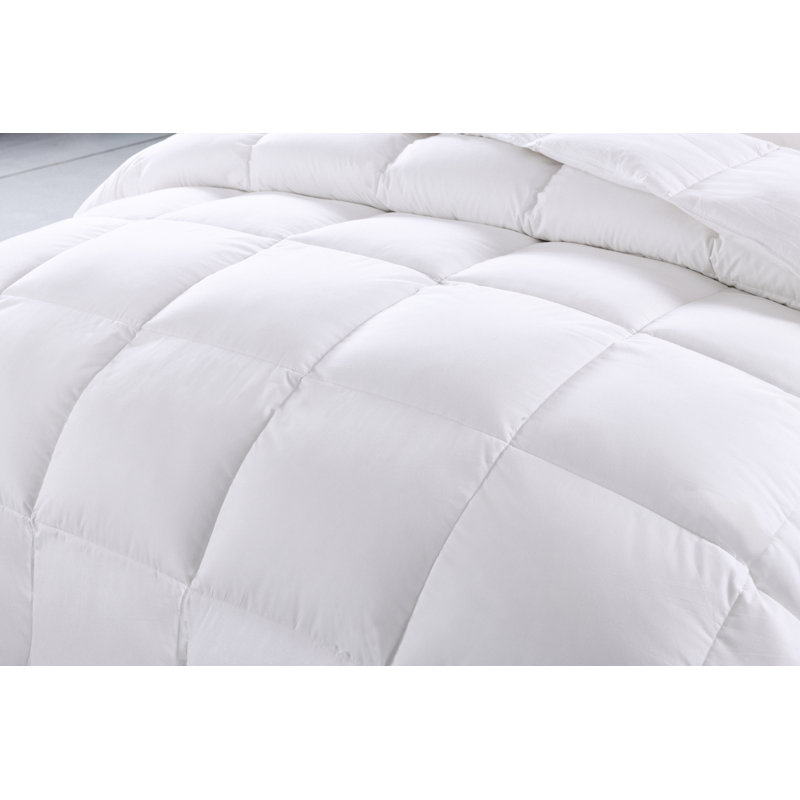 White Noise Duck Down Comforter & Reviews Wayfair